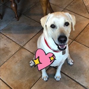 Meet your Posher, Victoria